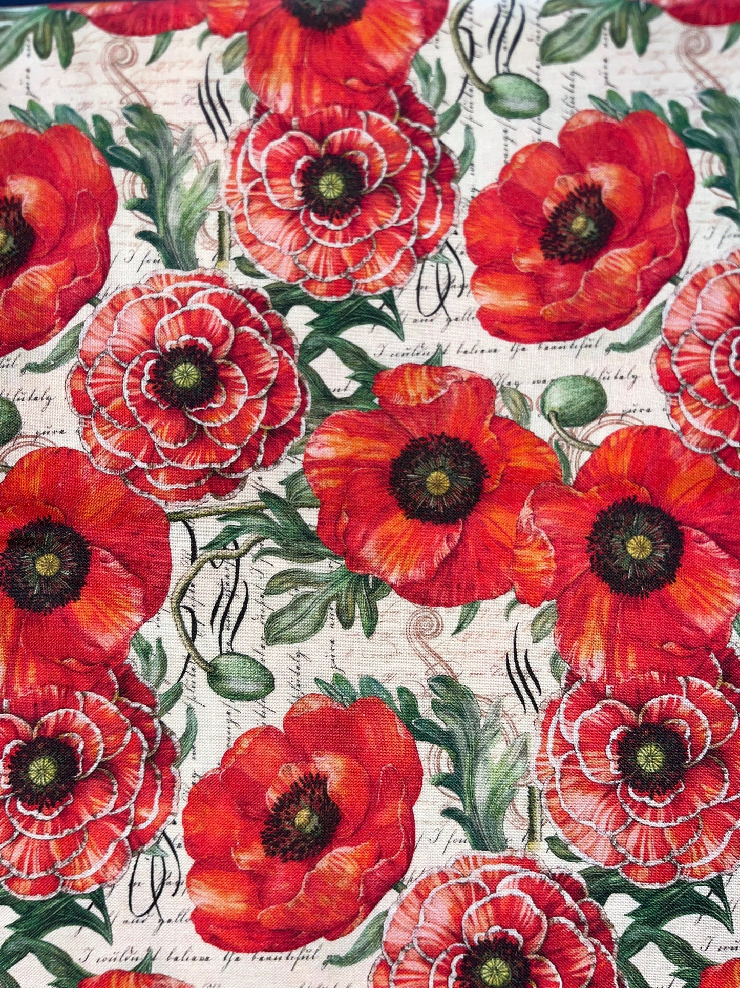 Beautiful Red Poppy Floral