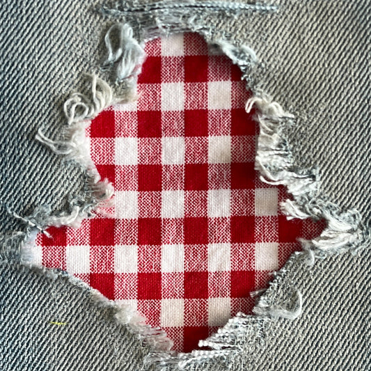 Red Gingham Check