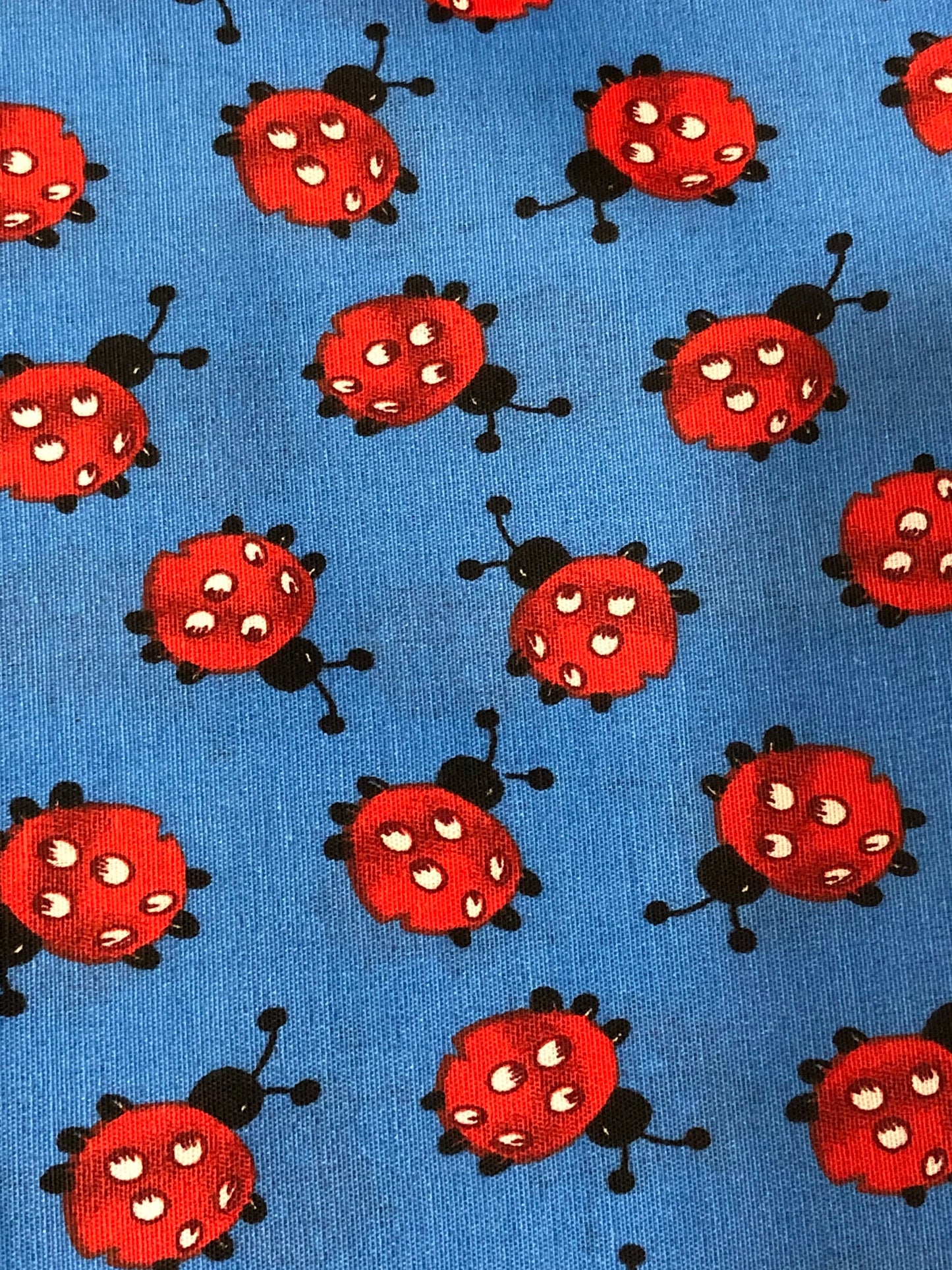 Red ladybug on Blue