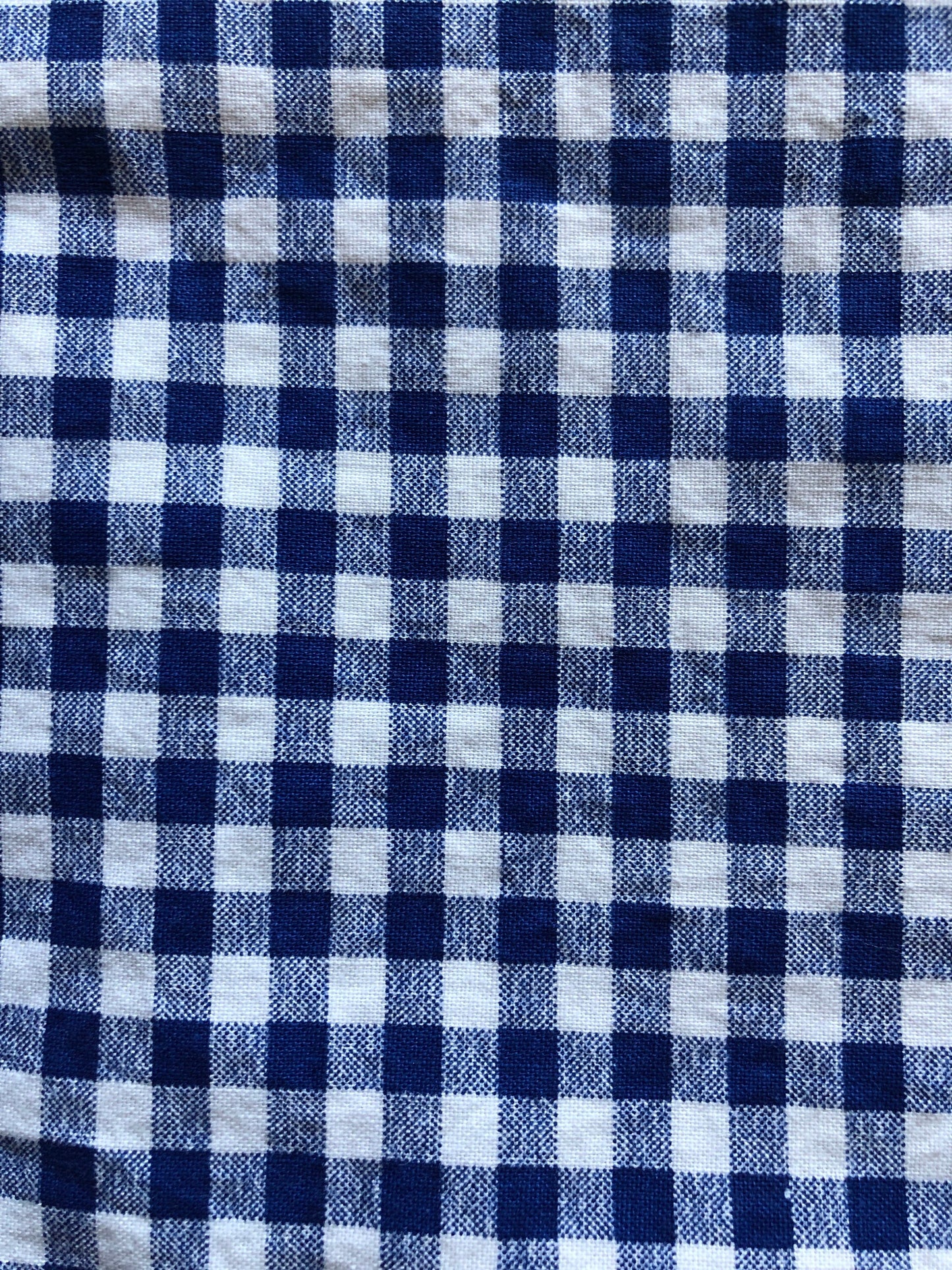 Royal Blue and White Gingham Check