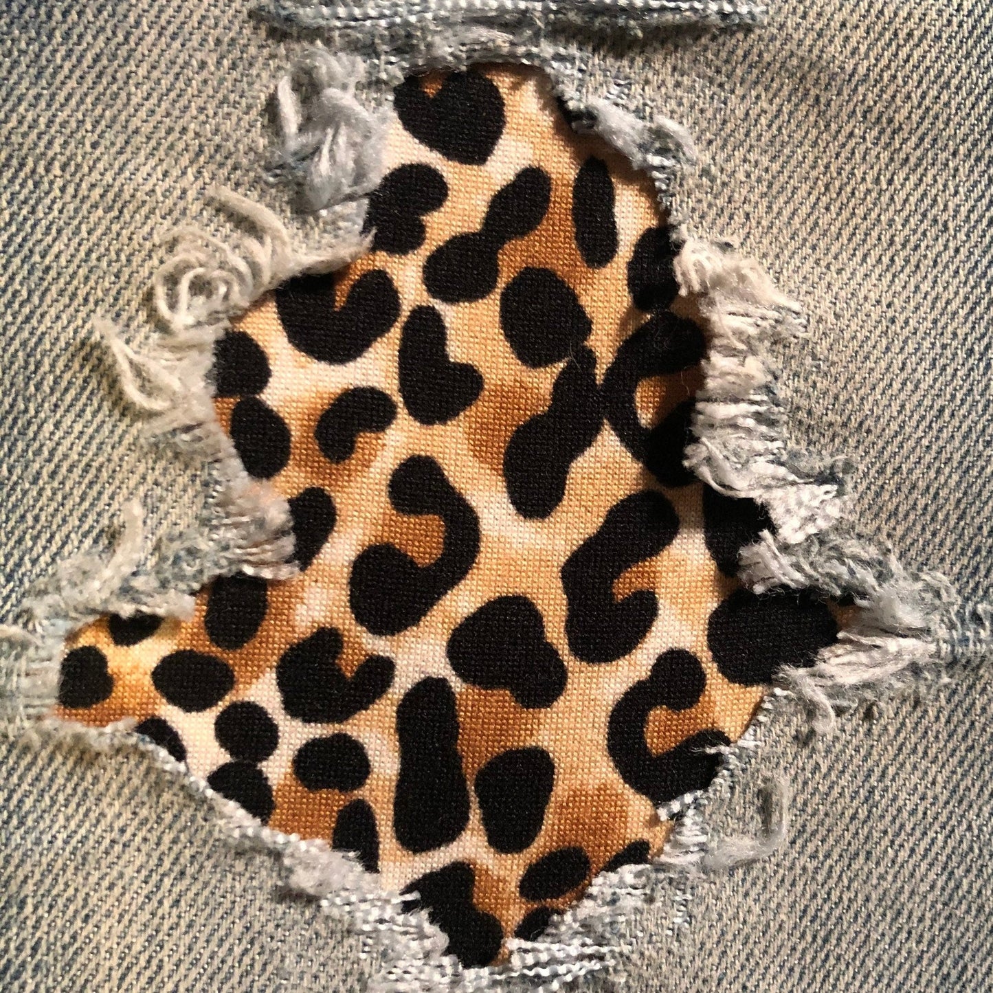 Cheetah | Leopard STRETCH