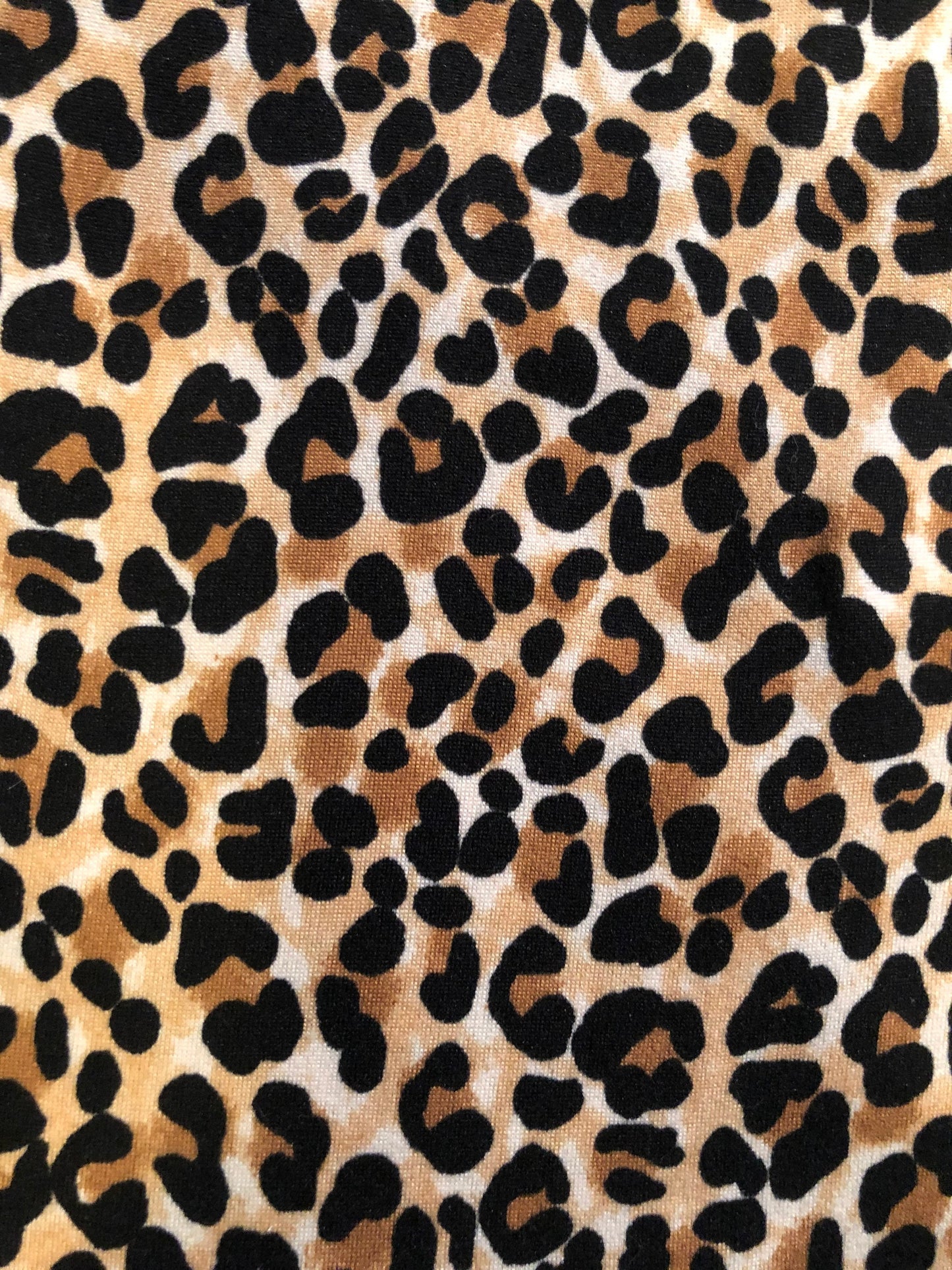 Cheetah | Leopard STRETCH